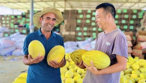 伽师瓜空腹可以吃吗,空腹食用的健康选择