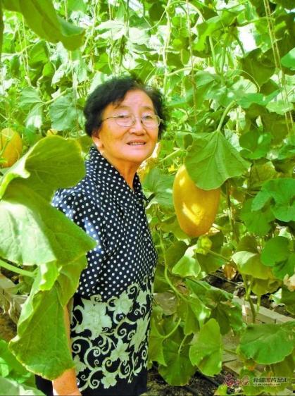 岑先生教授吃瓜,一场别开生面的学术“吃瓜”之旅