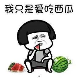 会吃了你 吃瓜,揭秘“会吃了你”与“吃瓜”背后的网络热词现象