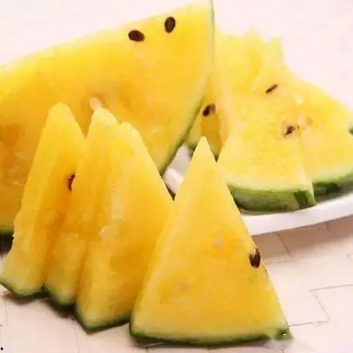 带你吃瓜煮饭,揭秘美食背后的故事