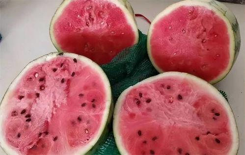 福建吃麒麟瓜,麒麟瓜的独特风味探寻