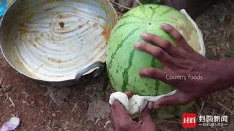 印度吃生瓜,生瓜的神奇魅力