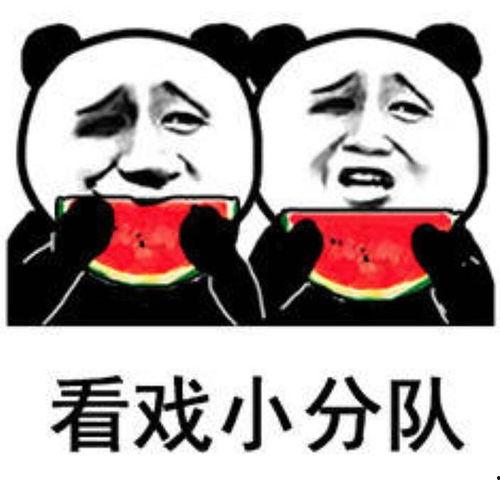 安静的吃瓜 表情包,表情包里的生活百态