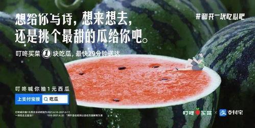 吃全瓜宴的文案