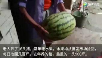 有什么吃瓜视频,娱乐圈幕后真相大曝光