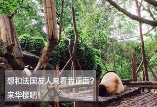 吃瓜后续怎么运动,如何科学运动，焕发活力