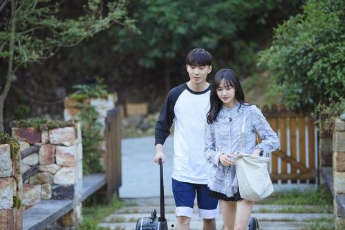 美吃瓜律师作品