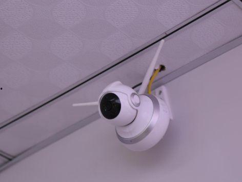 吃瓜戴璐视频,揭秘娱乐圈背后的真相