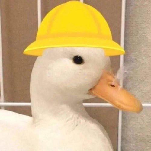 可达鸭吃瓜头像,揭秘网红头像背后的潮流文化