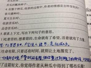 理智吃瓜演讲稿题目