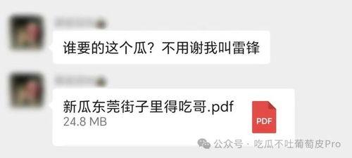 得吃哥瓜东莞,探寻东莞美食之旅