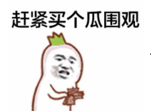 吃瓜群众语音包,趣味横生的网络热词解析