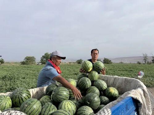 吃瓜一万年,见证娱乐圈风云一万年