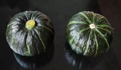 吃瓜小唐人布料,探寻布料背后的文化韵味