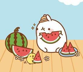 吃瓜的胖妈妈,吃瓜胖妈妈的甜蜜生活揭秘