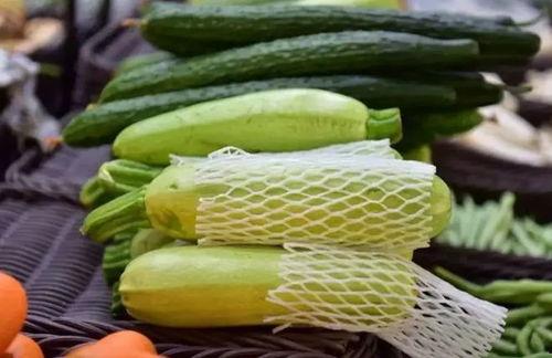 吃中药可以吃小蜜瓜吗,小蜜瓜与中药的和谐共融