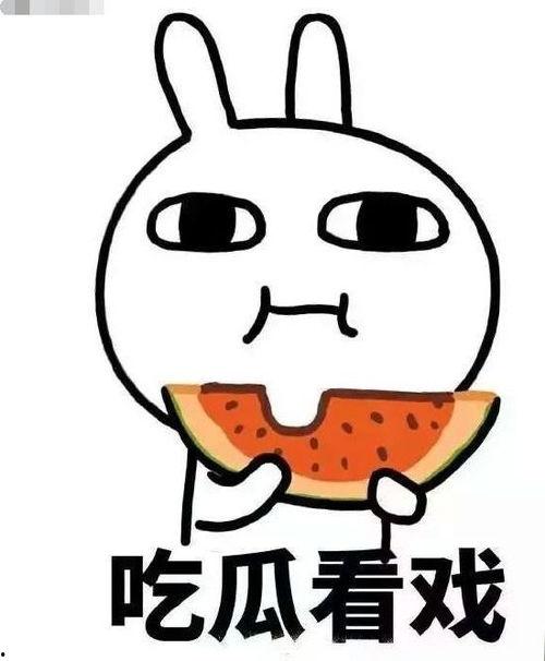 夜斗吃瓜,揭秘娱乐圈背后的秘密与真相