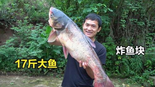 炸鱼吃瓜,夏日美食新风尚