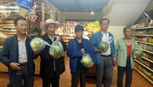 贾岗吃瓜比赛,一场夏日里的欢乐盛宴