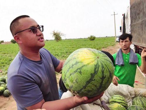 梁月吃瓜,揭秘娱乐圈背后的那些事儿