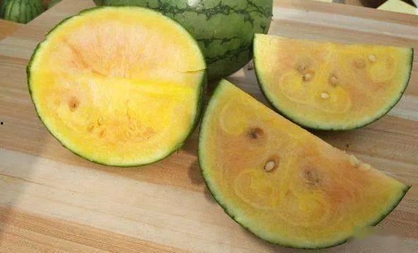 推特彩虹吃瓜,推特上的趣味瞬间