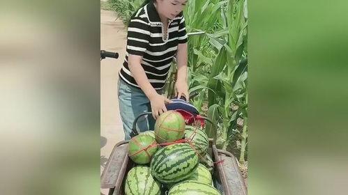 吃瓜发现被偷,家中被盗，警方介入调查