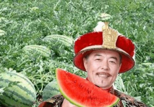 路边吃瓜老头,揭秘路边吃瓜老头的日常传奇