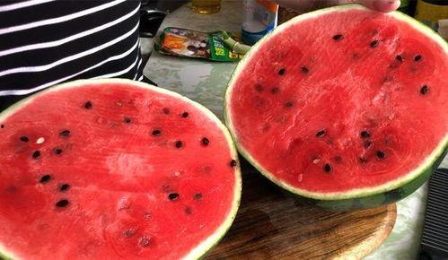 吃全家的瓜,一场吃遍全家瓜的欢乐盛宴