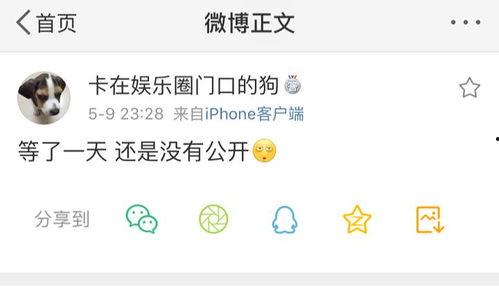 吃瓜爆料开头,揭秘娱乐圈背后的惊人真相