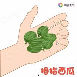 飞崽吃瓜,揭秘娱乐圈幕后故事