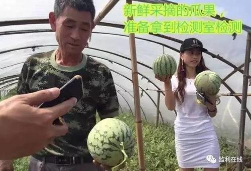 社会实验吃瓜视频,吃瓜视频背后的真相与影响