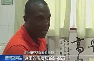 打死吃瓜男子,男子打死吃瓜者引发社会热议