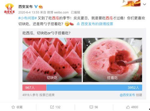 吃瓜宝典西瓜视频,揭秘吃瓜宝典，畅享夏日清凉盛宴